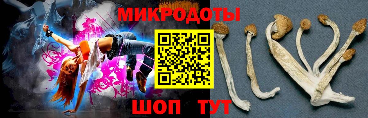 Псилоцибиновые грибы MAGIC MUSHROOMS  Галлюциногенные грибы Cubensis  Вход с VPN  Шадринск 